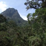 Acaime-Trip - Reiseberichte zu Kolumbien